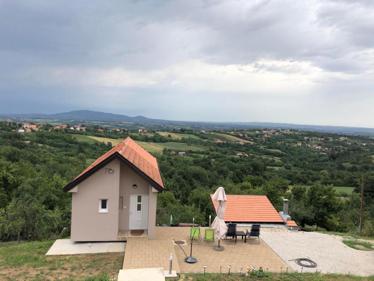 Vila Pogled أراندجيلوفاك المظهر الخارجي الصورة