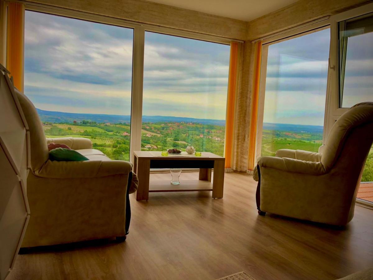 Vila Pogled أراندجيلوفاك المظهر الخارجي الصورة